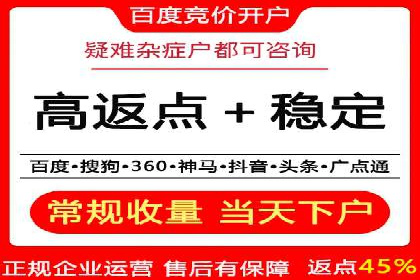 探索SEM竞价优化：成功企业的广告策略